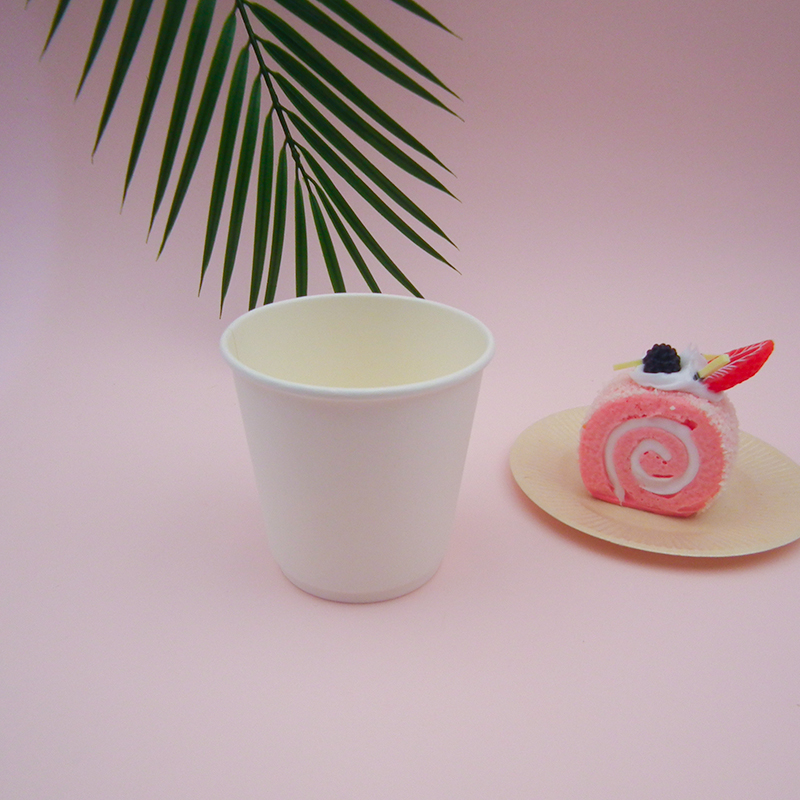biodegradable disposable paper cup