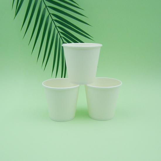 PLA 10oz Single Wall Paper Cup