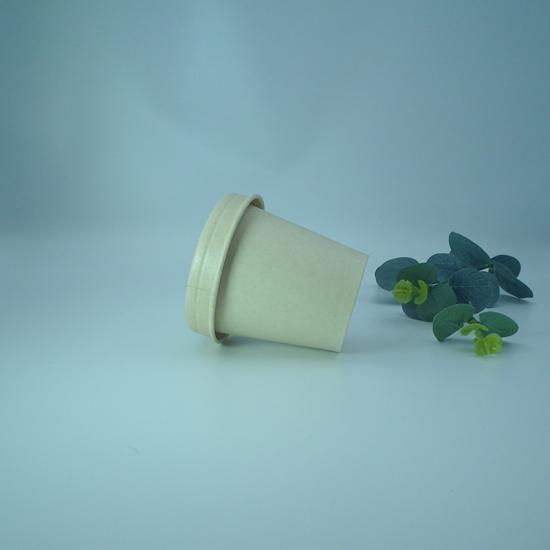 PLA 6oz Single Wall Cup